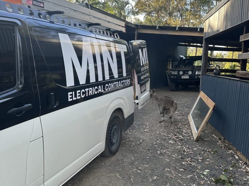 client-mint-van-Dl--iJ0h